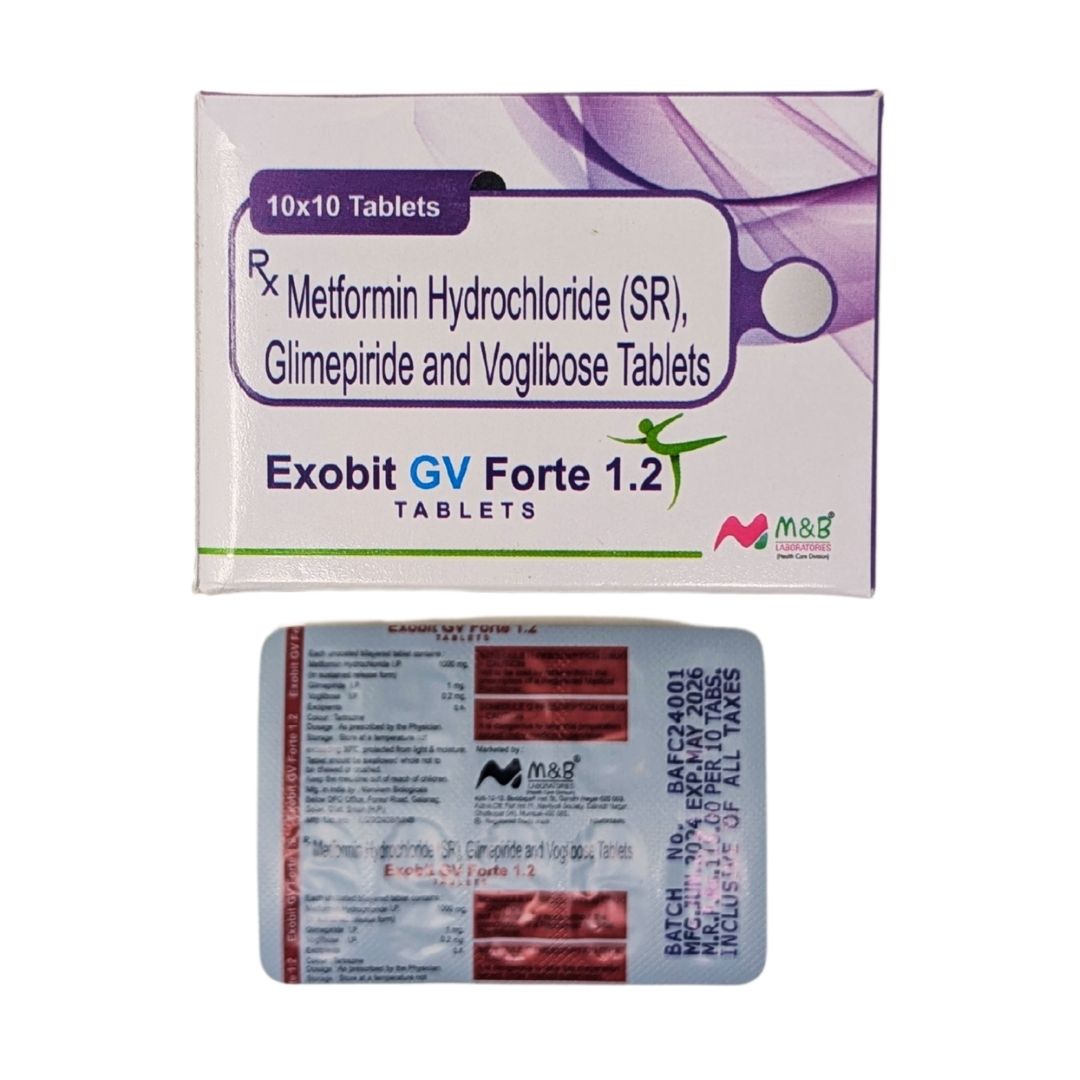 Exobit GV Forte 1.2