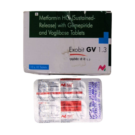 Exobit GV 1.3